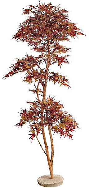 紅葉もみじ